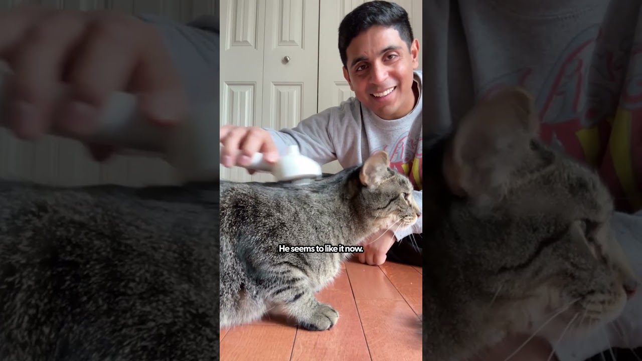 My Cat Tries The Viral Steam Cat Brush | The Dodo