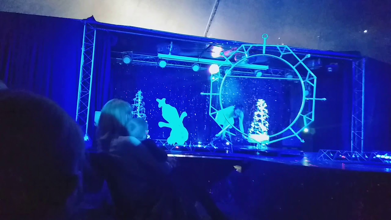 Cyrkowe show juremix czersk