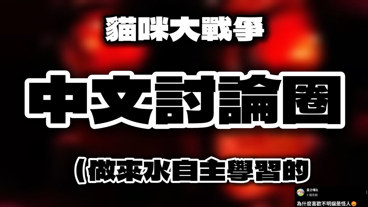 貓🙀戰🪖中🥵文😭圈🤓【我亂搞的自主學習計劃】
