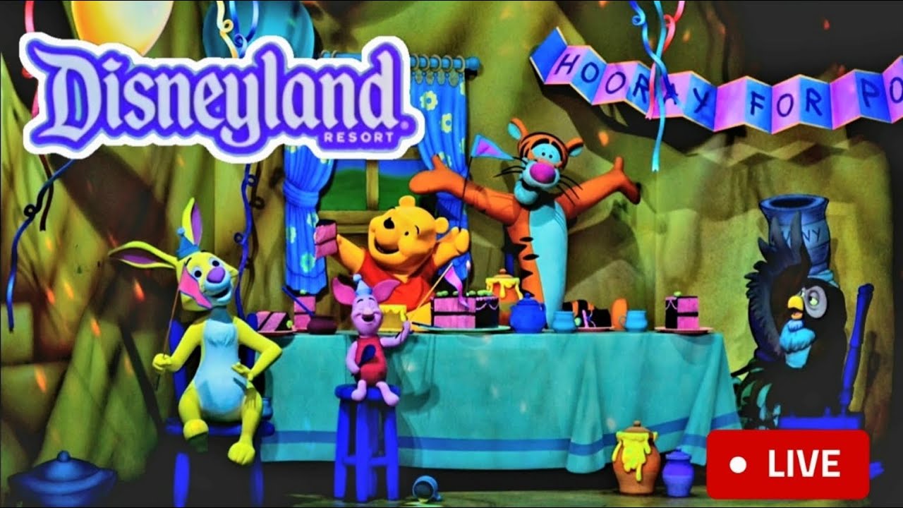 #LIVE Disneyland with Our Bestie Danny for His Birthday, Rides, Characters, New Merch