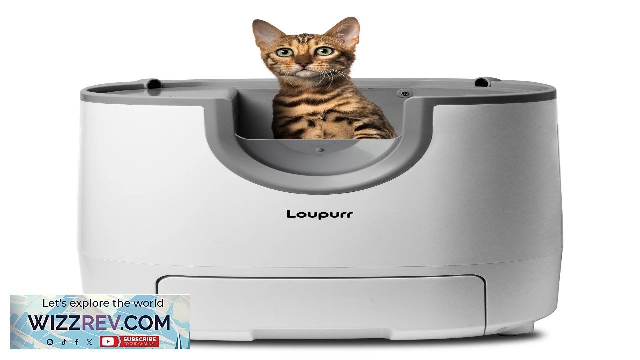 Loupurr L1 Open Top Automatic Cat Litter Box Self Cleaning Easy Maintenance with Multi
