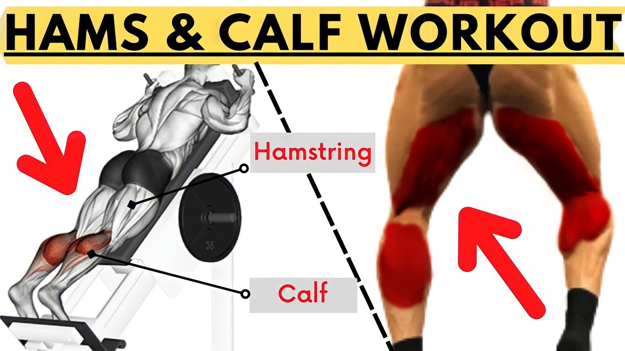7 Hamstring & Calf Exercises At Gym | Hams & Calf Workout #calvesworkout#hamstringworkout
