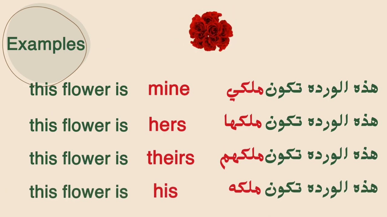 Possessive pronouns/possessive adjectives صفات وضمائر الملكيه 