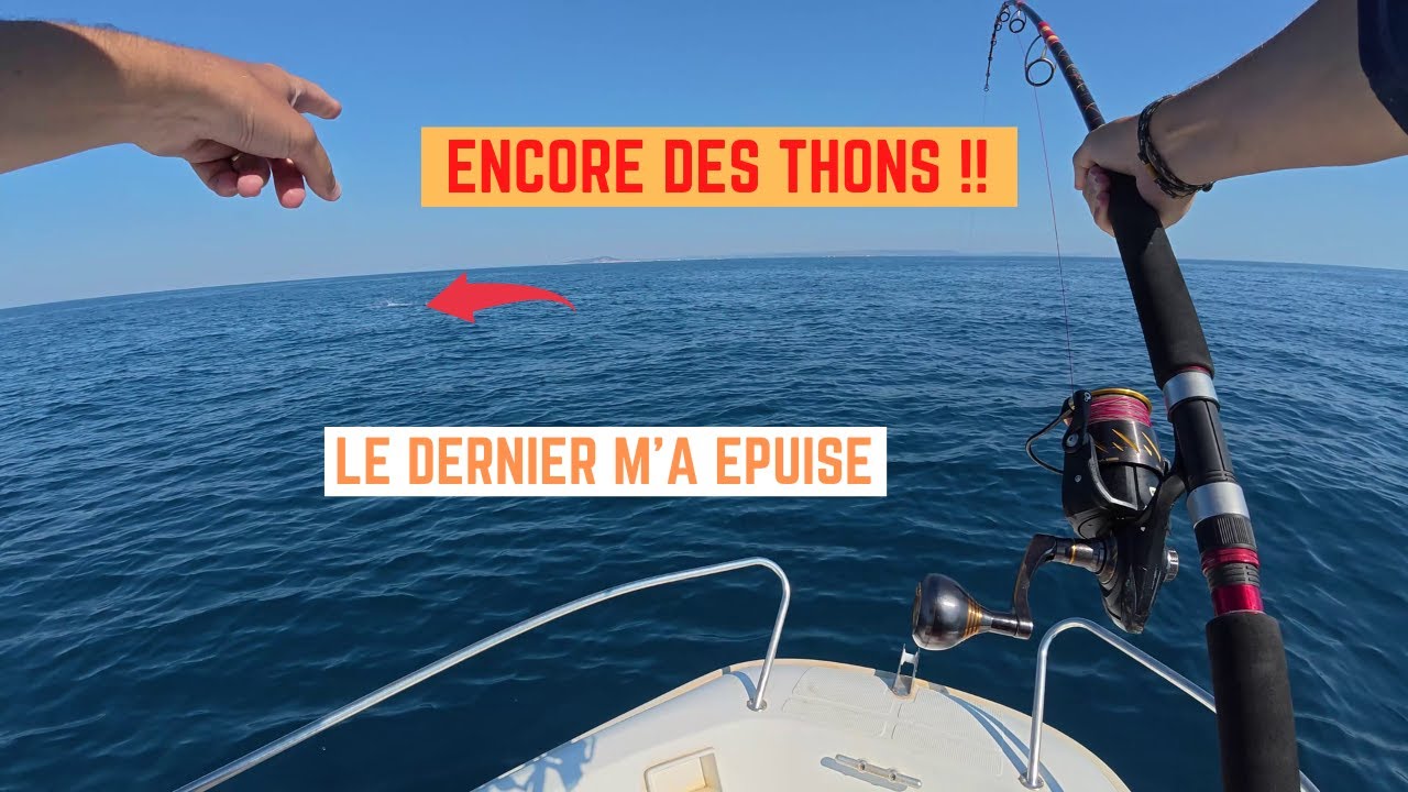 ENCORE des THONS ! VIVEMENT les BONITES 🎣