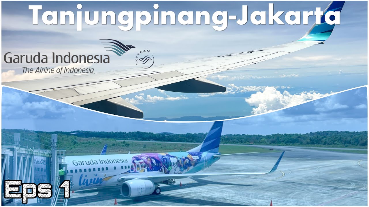 Garuda Indonesia Special Livery by Livin Mandiri. B737-800. PK - GFI.