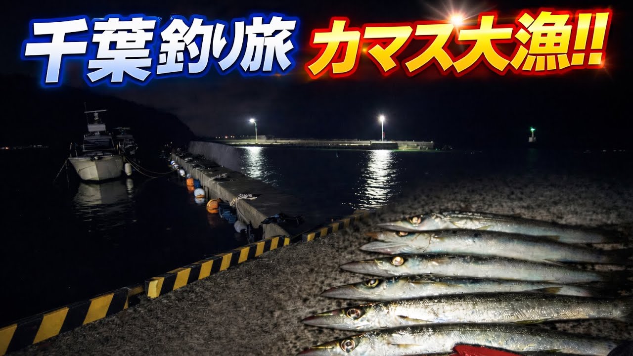 千葉釣り旅！カマスがいくらでも釣れた仕掛けはコレ！サビキ・ワーム・ウキどれでも釣れます！