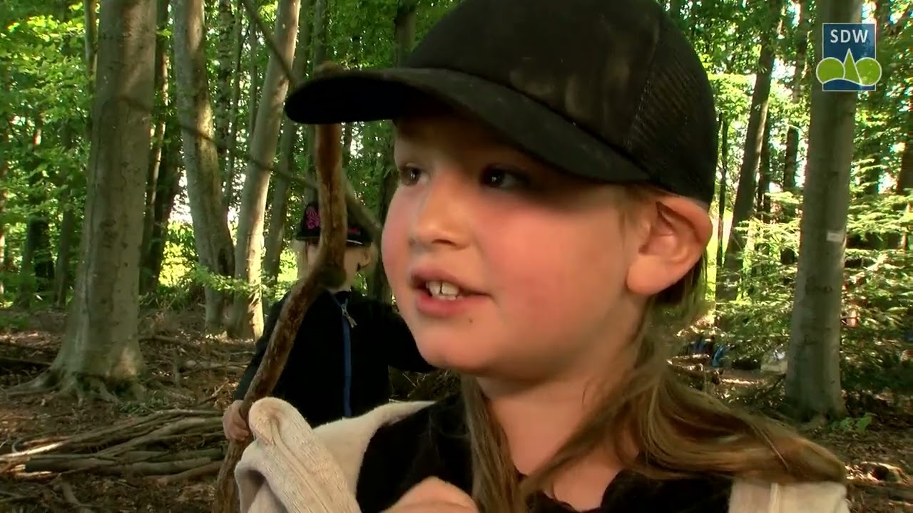 Einblicke in den Unterricht im Wald - ein Projekt der Schutzgemeinschaft Deutscher Wald LV Bayern