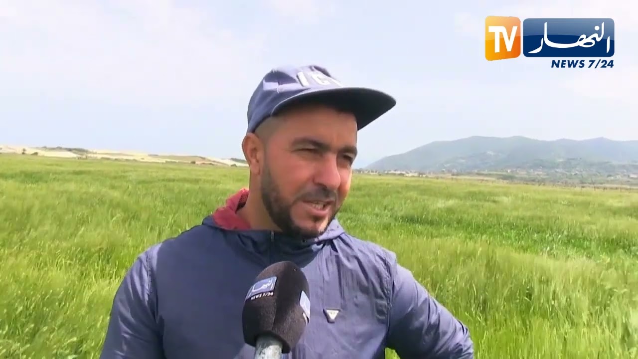 جيجل: زراعة البقول الجافة.. آلية لضمان الأمن الغذائي وتحقيق الاكتفاء الذاتي