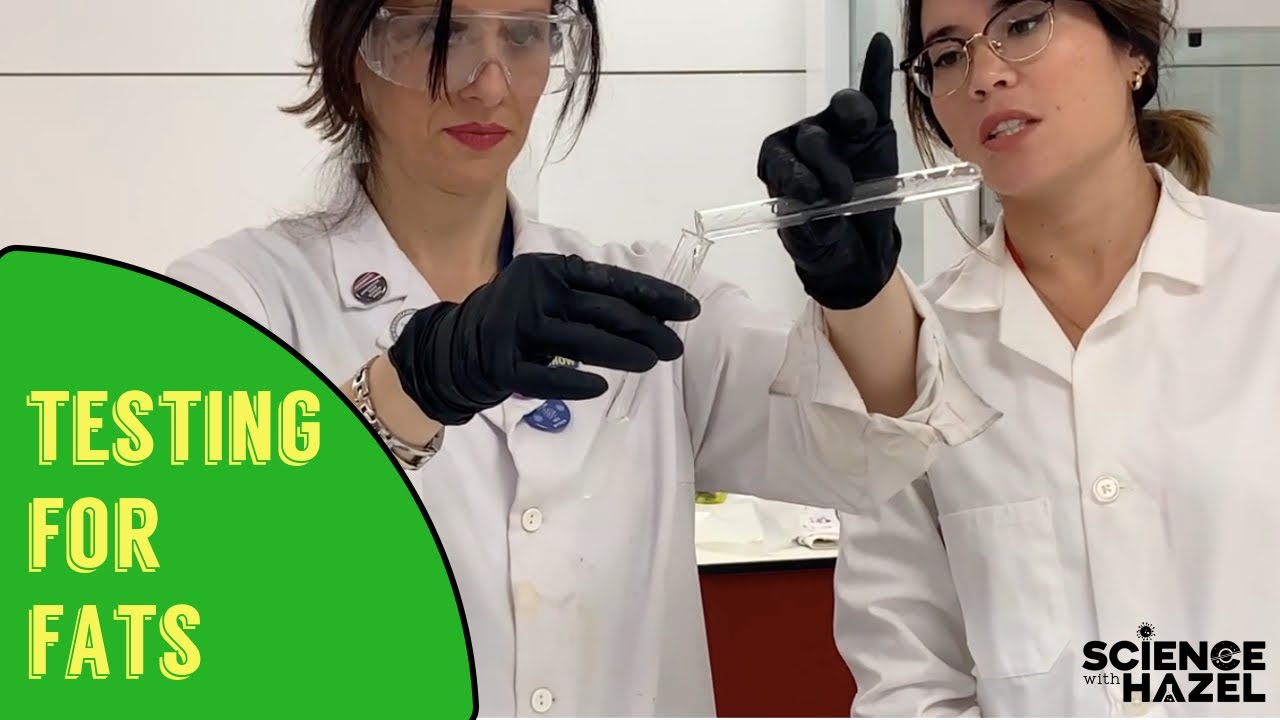 Food Tests: How To Test For Fats / Lipids | Biology Practicals