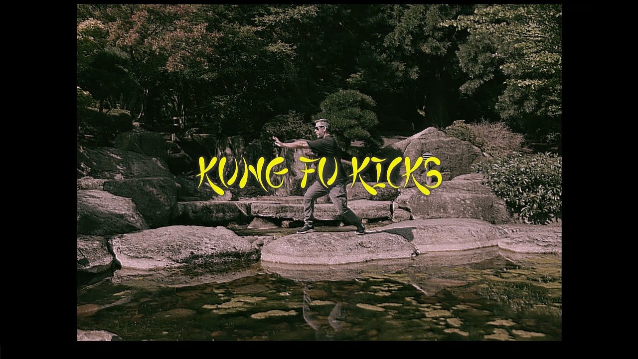 Amir P - Kung Fu Kicks