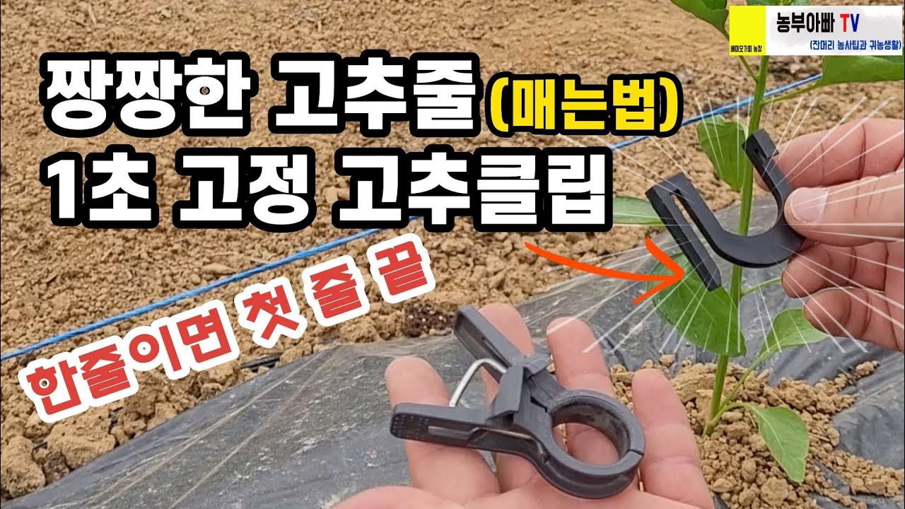 고추줄 짱짱하게 매는법과 고추클립으로 첫줄은 한줄로 끝내기