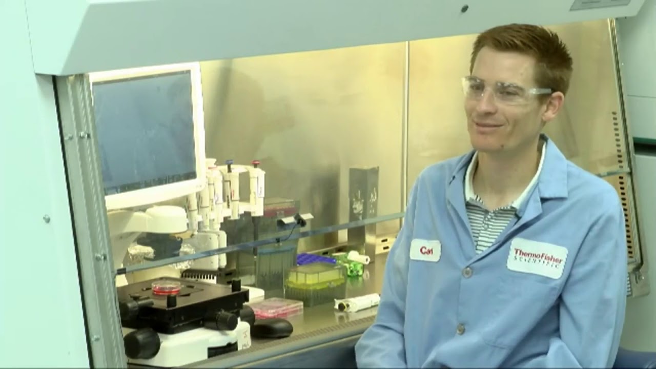 LIVE TRAINING: Pluripotent Stem Cell Picking