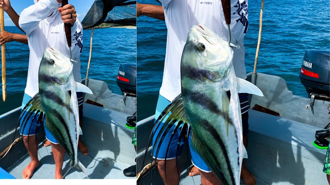 Pesca de Monstruoso pez Gallo de 10kg | PLAYA BONGO Costa Rica