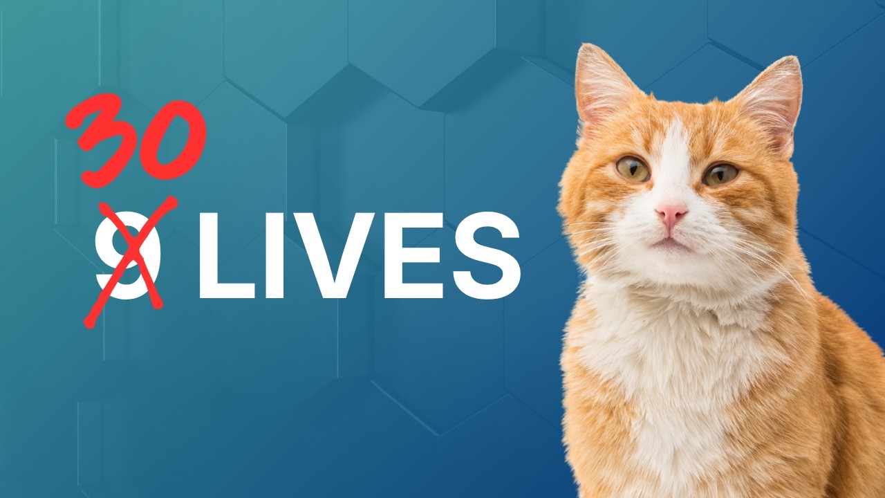 Cat Kidney Disease A Thing Of The Past? Longevity Injection & AIM Protein