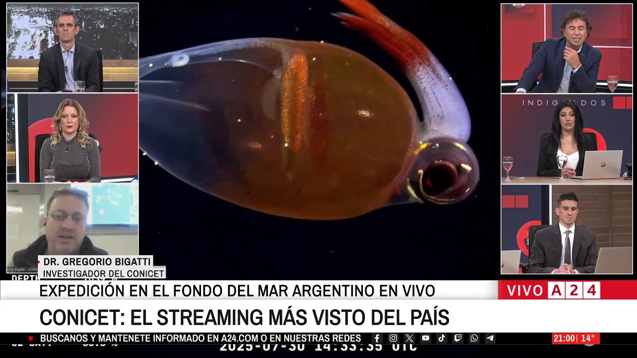 🌊🦞 El fondo del mar en vivo rompe récords: furor por la expedición del CONICET