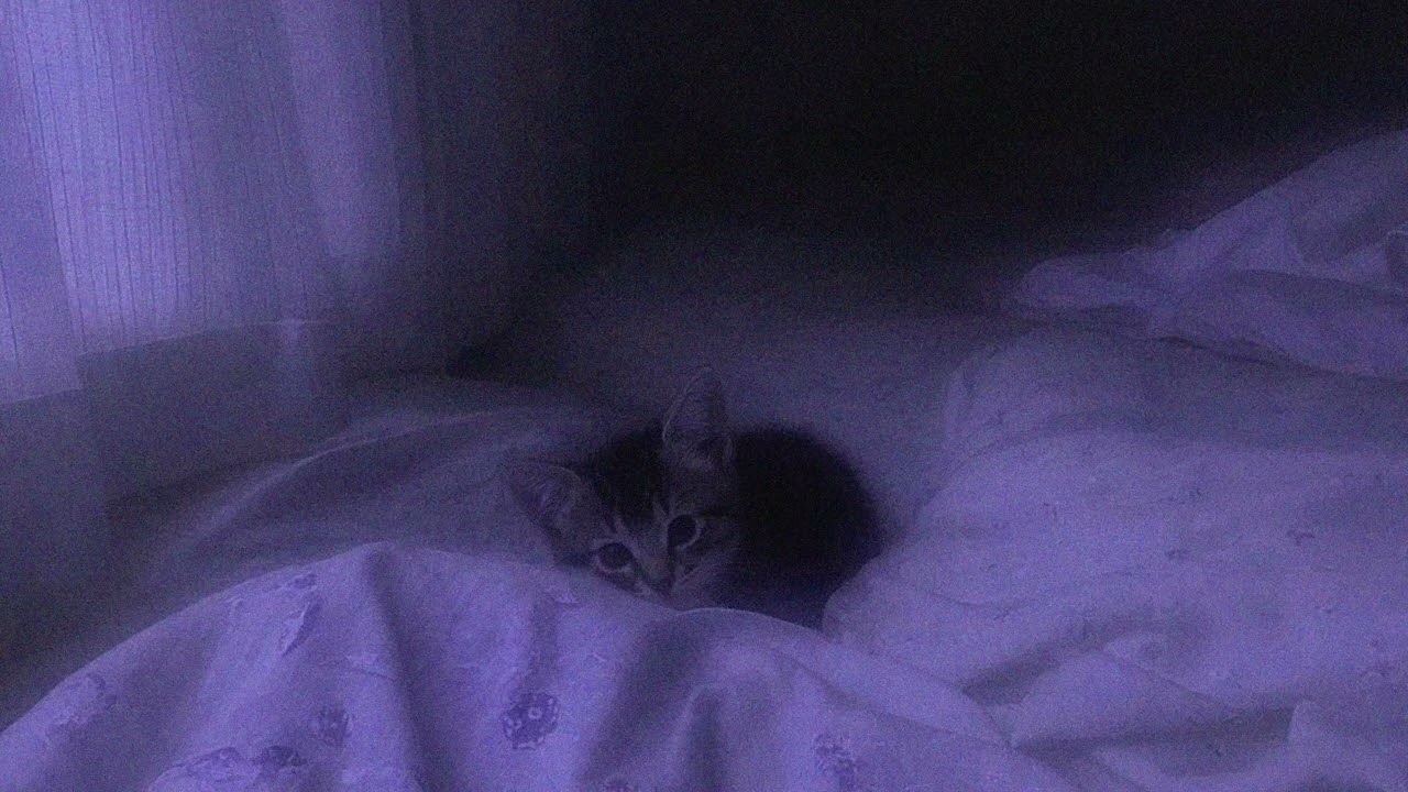 it's late, close your eyes...