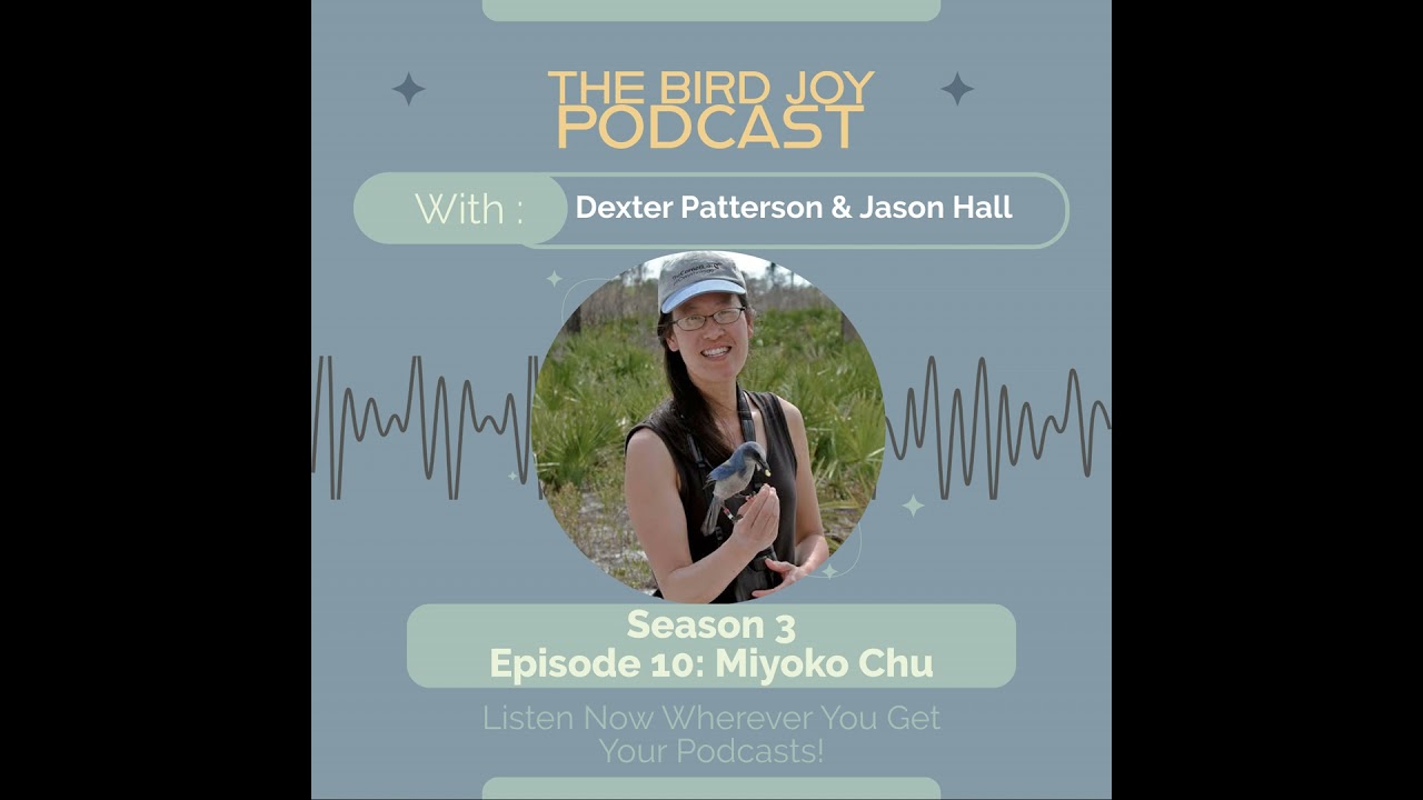 Birds, Merlin, and the Future of Conservation with Dr. Miyoko Chu