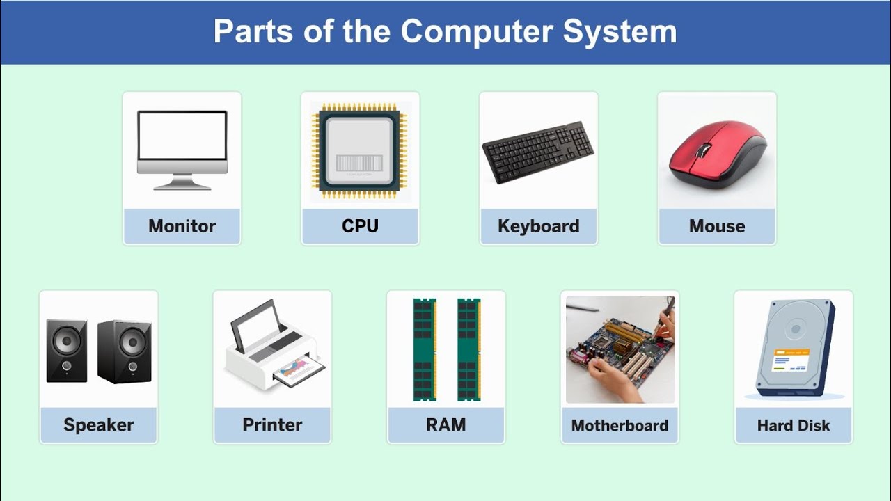 Parts of the Computer System