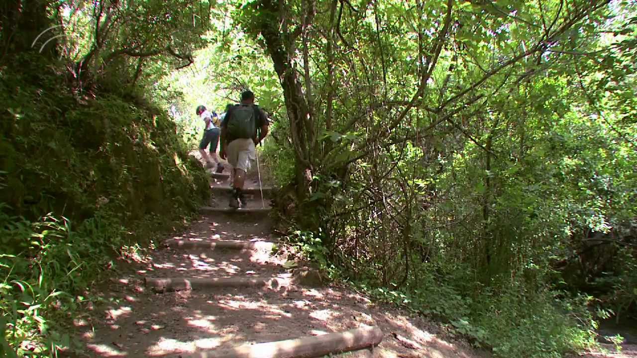 Rutas Saludables: Parque Natural de la Sierra de Grazalema (Cádiz)