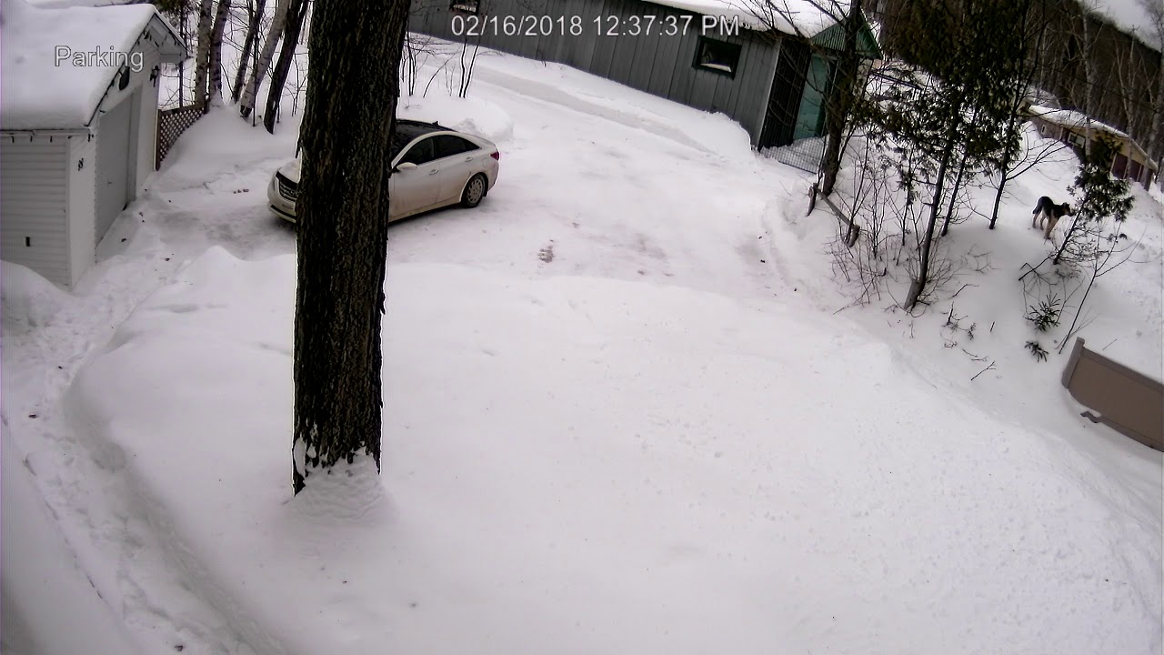 Fev17 2018 dog mountain