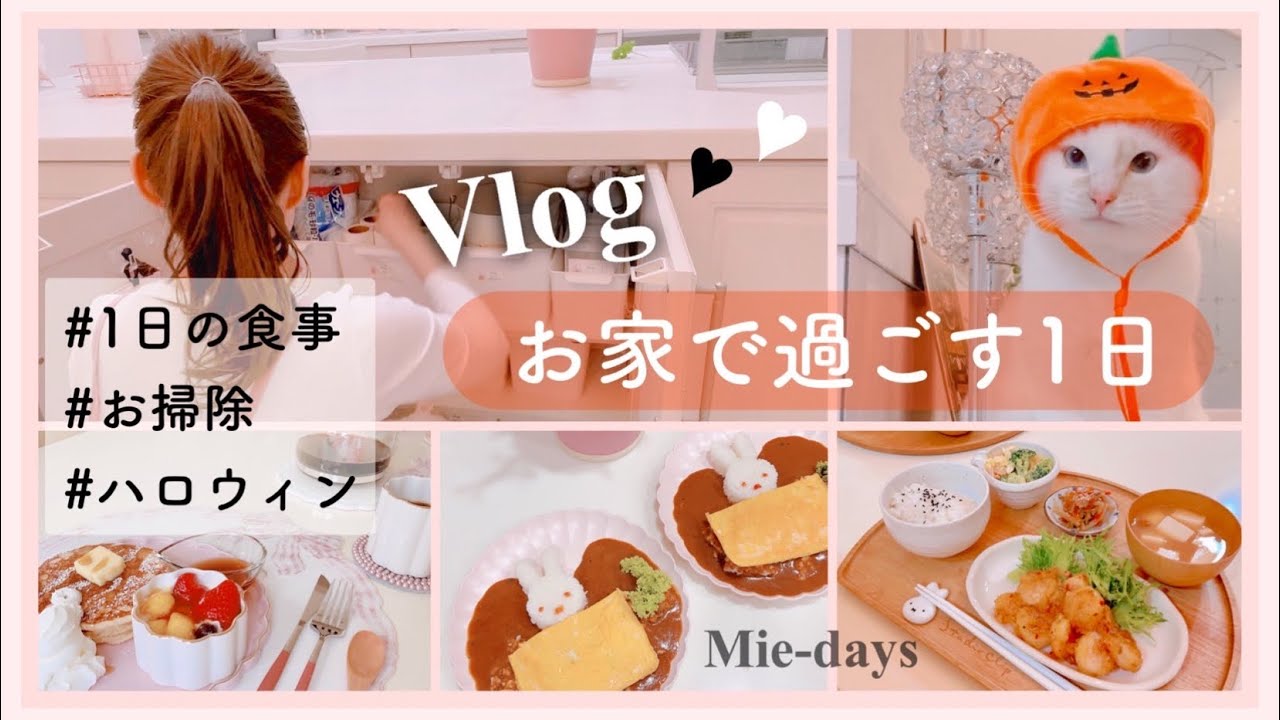 83. [Vlog]お家で過ごす一日／一日の食事／ときどき猫