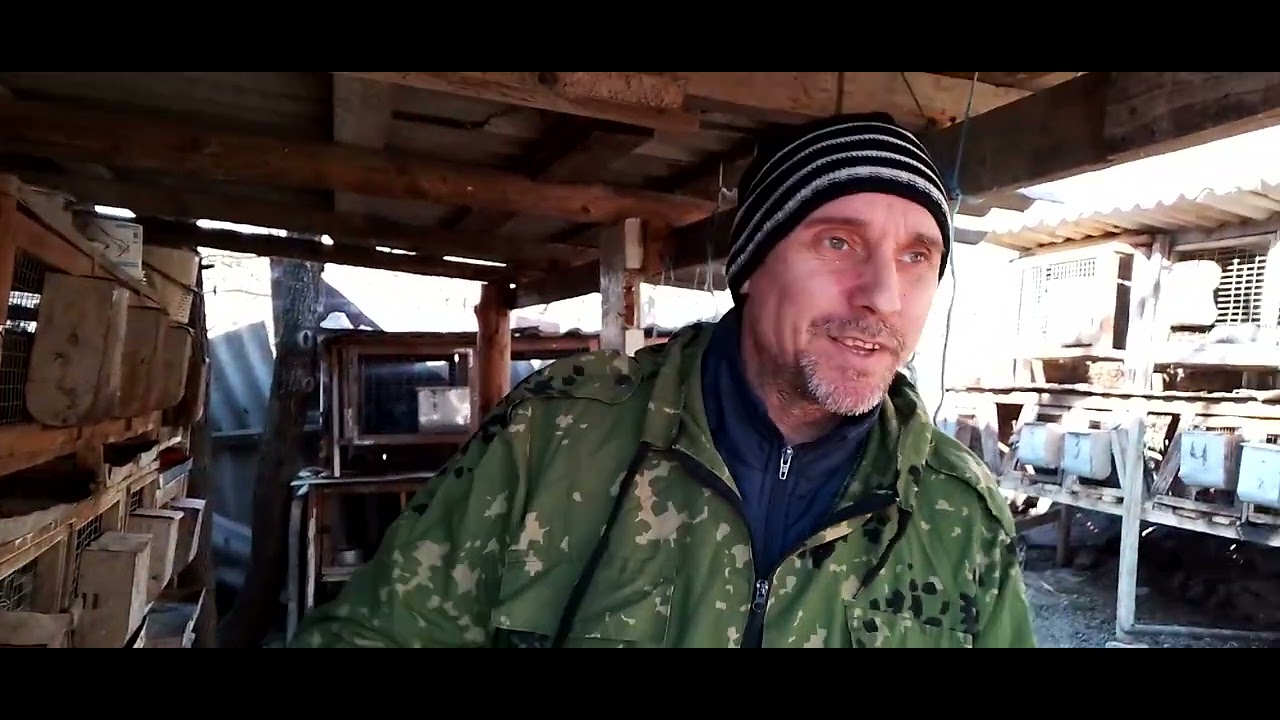 Полезность хвои для кроликов.