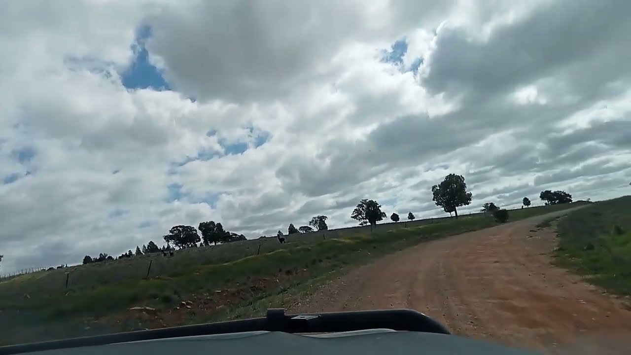 SUNDAY AFTERNOON DRIVE IN THE RIVERINA NSW AUSTRALIA 🦘