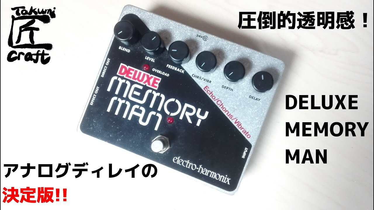electro-harmonix DELUXE MEMORY MAN XO Review