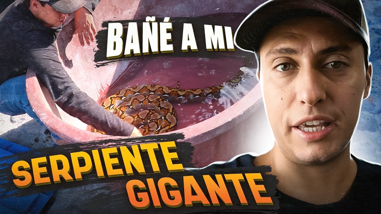 Bañé A Mi Serpiente Gigante!!!