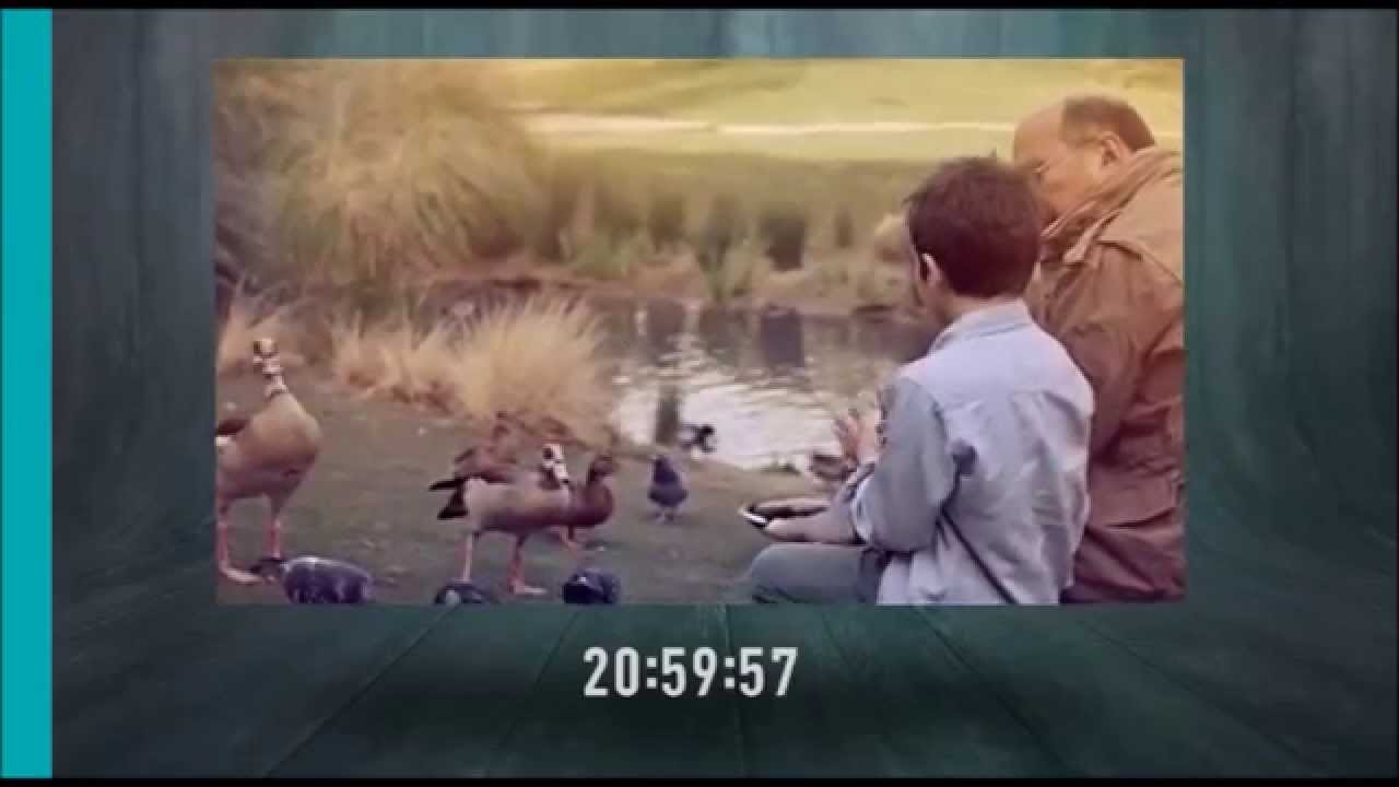 RTP2 - Grafismo 2015: Relógio + Jornal 2