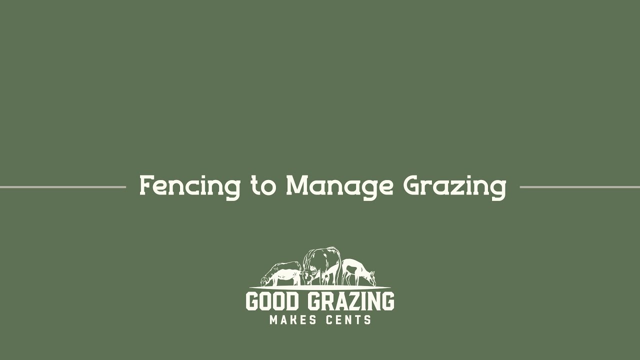 Fencing to Manage Grazing, Reduce Inputs, and Increase Profit!