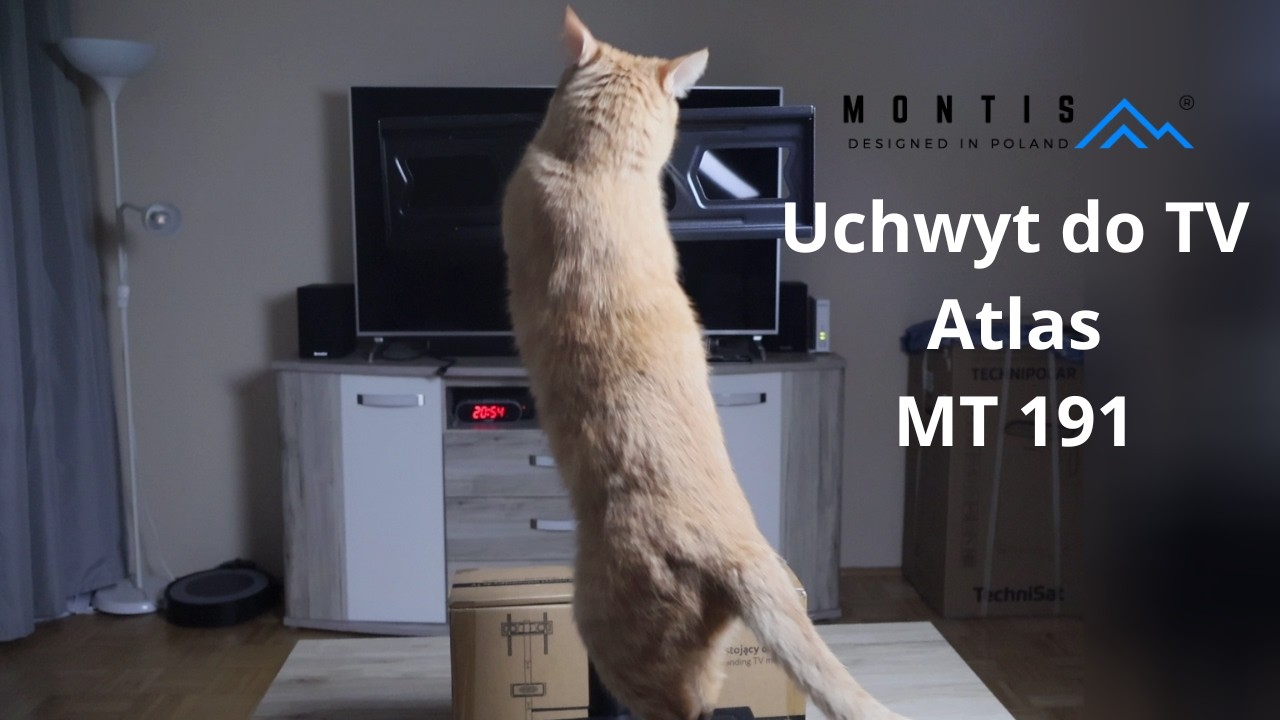 Czy ten uchwyt do TV jest odporny na kota?! Test Montis MT191 Atlas