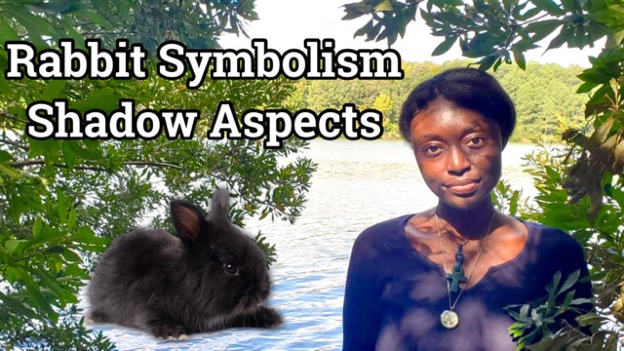 Rabbit Animal Totem