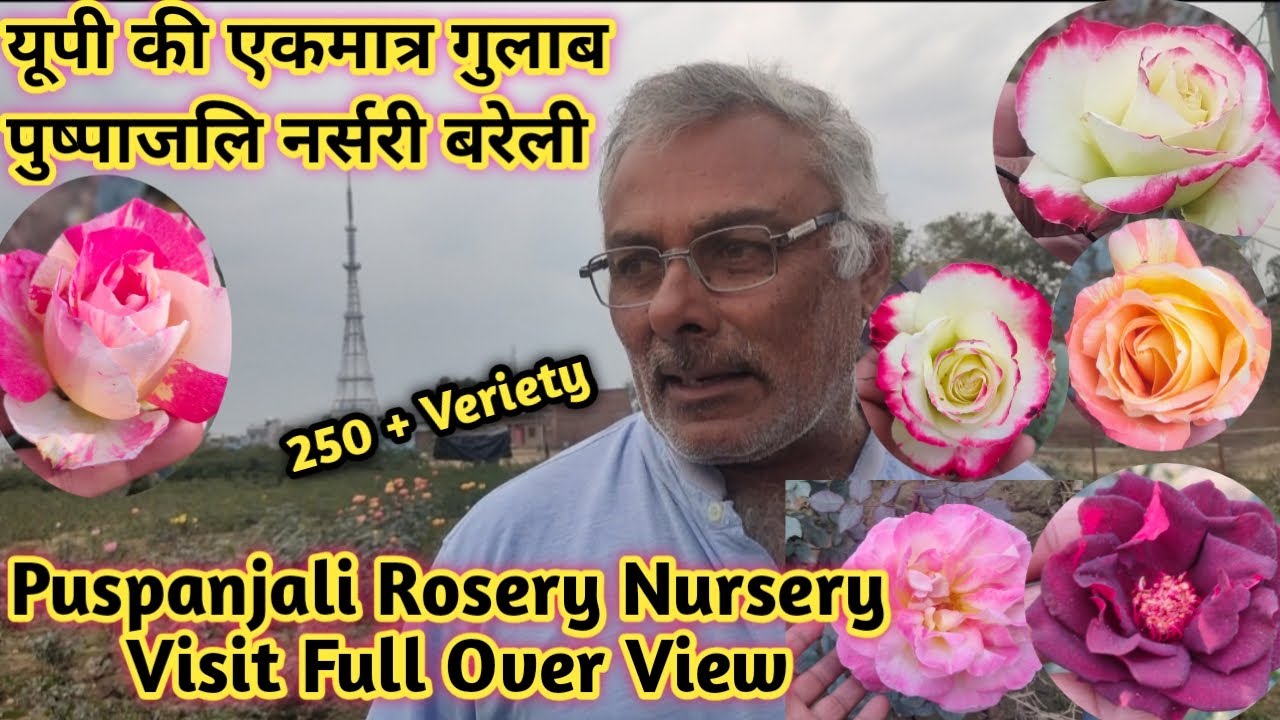 Puspanjali Nursery Visit🌹यूपी की एकमात्र पुष्पाजलि रोजरी नर्सरी बरेली में विज़िट 🥀🇮🇳
