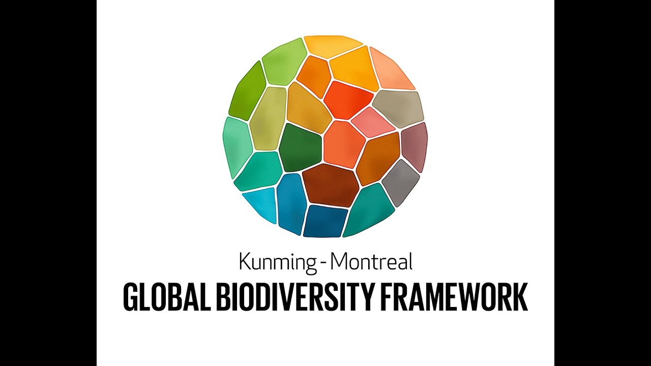 The Kunming-Montreal Global Biodiversity Framework