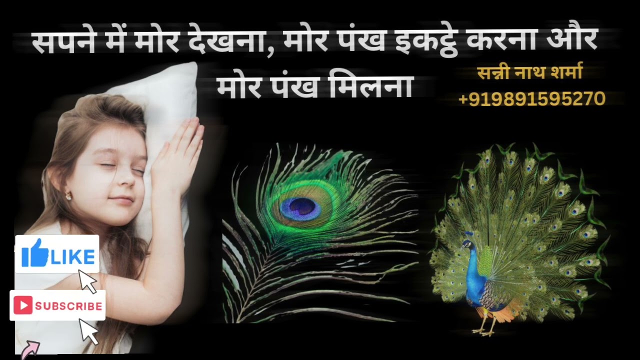 सपने में मोर देखना ! सपने मैं मोर पख मिलना  ! सपने में नाचते हुए मोर देखना संकेत !