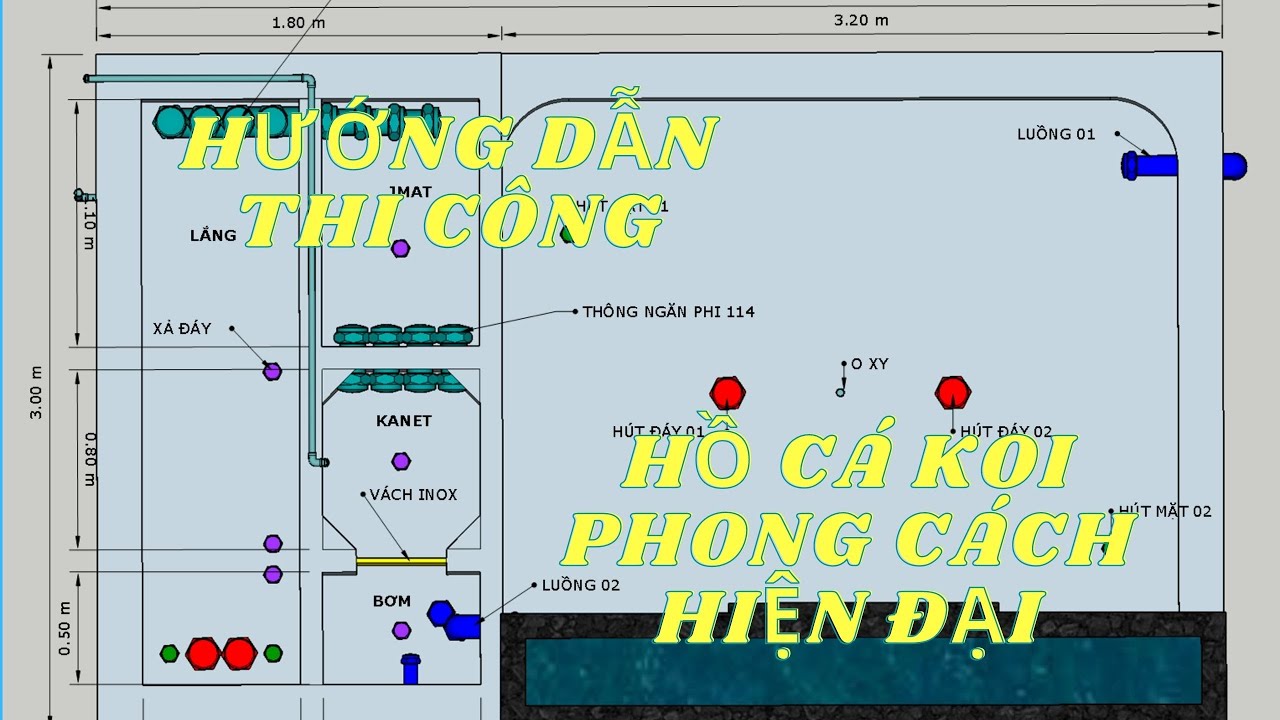 Cách Đi Đường Ống Công nghệ Lọc Chi Tiết Cho Hồ Koi Theo Phong Cách Hiện Đại