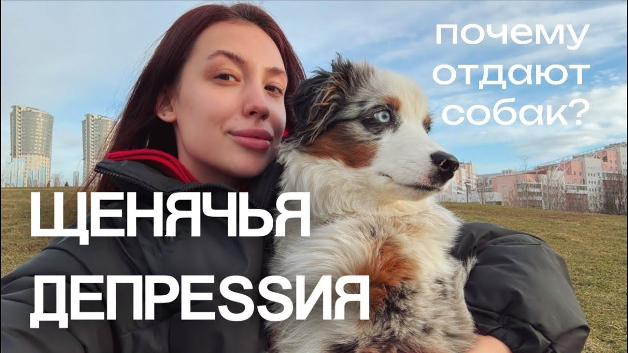 НЕ ЗАВОДИ СОБАКУ, ПОКА НЕ ПОСМОТРИШЬ. Что такое щенячья депреssия?