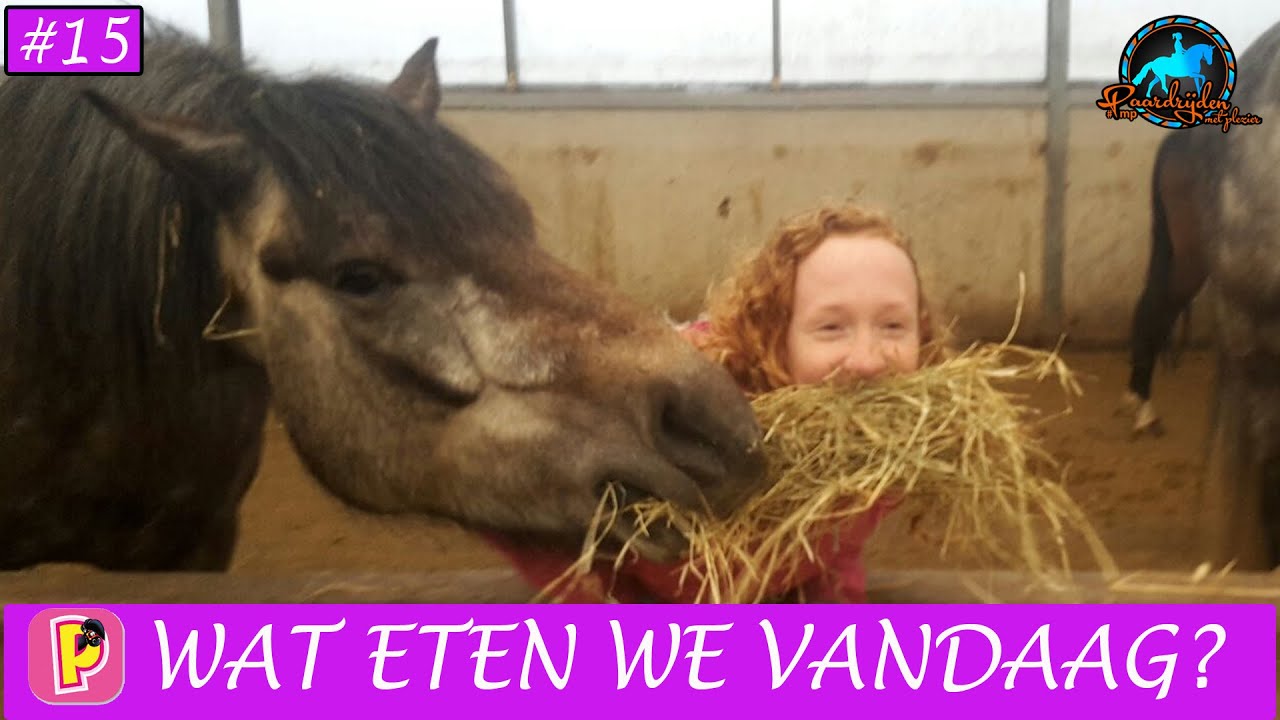 Wat eten paarden | Paard en paardrijden