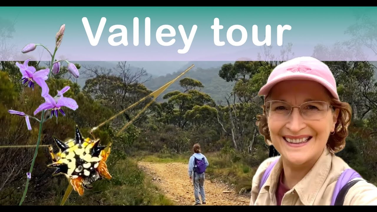 Virtual tour of a hidden valley and misty hills 