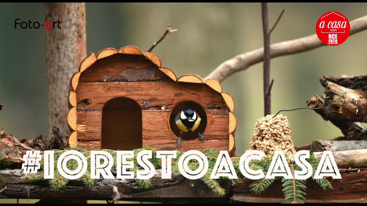 #iorestoacasa - il birdgarden di Foto Art