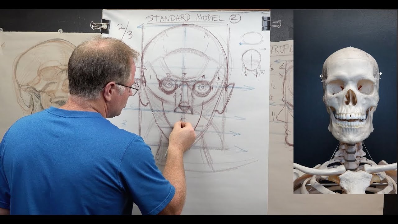 THE FIGURE: Head Structure #1 Know Your Proportions & Hit Your Landmarks