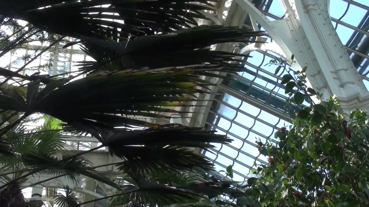 Palmenhaus Sch&ouml;nbrunn - Greenhouse in Vienna, April 2011