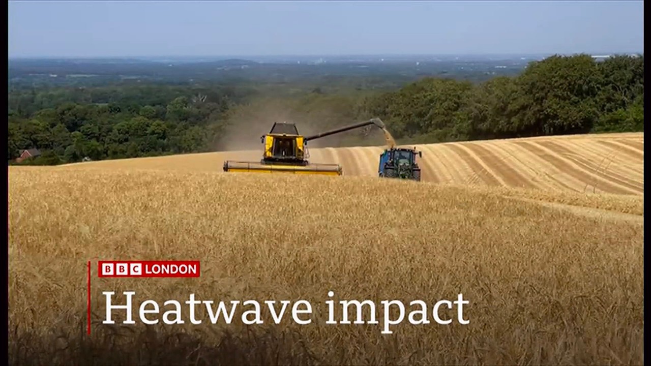 Weather Events - Heatwave impact, environment, farming, food and warning (UK) 5/Aug/2026