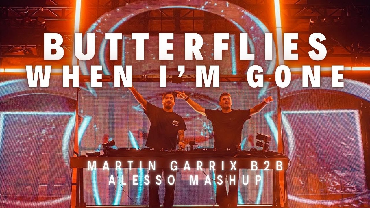Butterflies vs When I'm Gone (Martin Garrix B2B Alesso Red Rocks 2025 Mashup) (Renzed Remake)