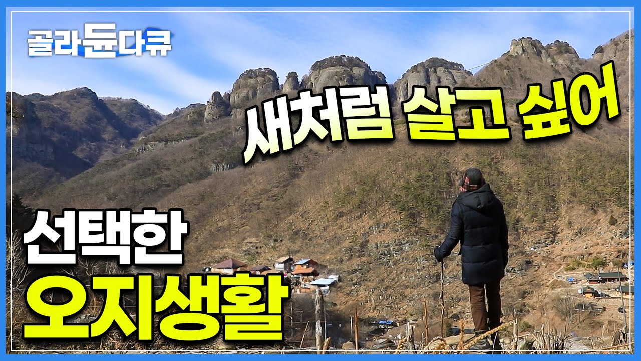 육지 속 섬, 경북 3대 오지 중 하나라는 봉화의 청량산으로 돌아온 산꾼ㅣ형제들과 함께 살던 100년된 옛집ㅣ오지마을 산중생활ㅣ한국기행ㅣ#골라듄다큐