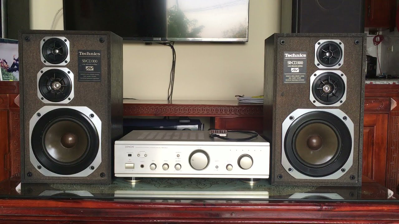Cặp loa Technics SB-CD300