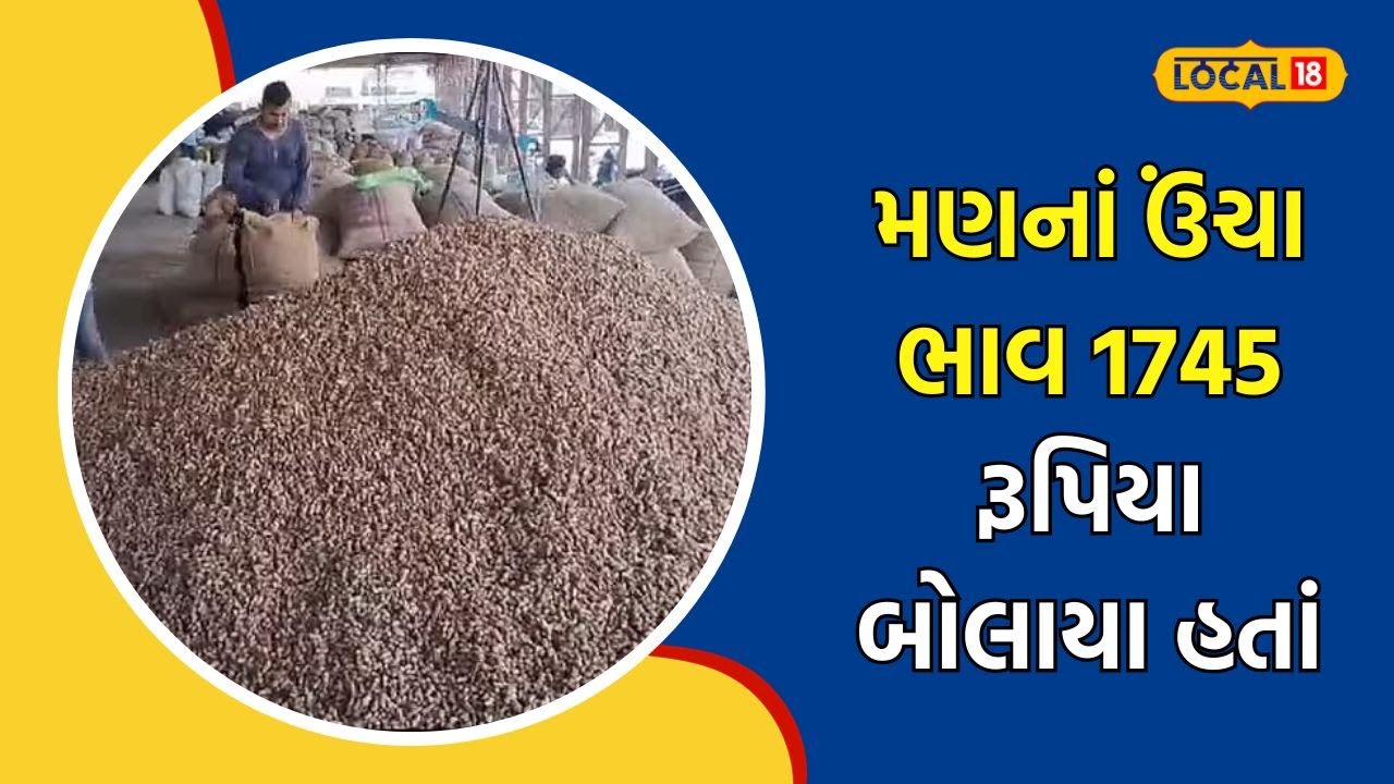 APMC | જૂનાગઢ માર્કેટિંગ યાર્ડમાં મગફળીનાં ભાવમાં તેજી, ખેડૂતો આંખમાં જોવા મળી ખુશી | #local18