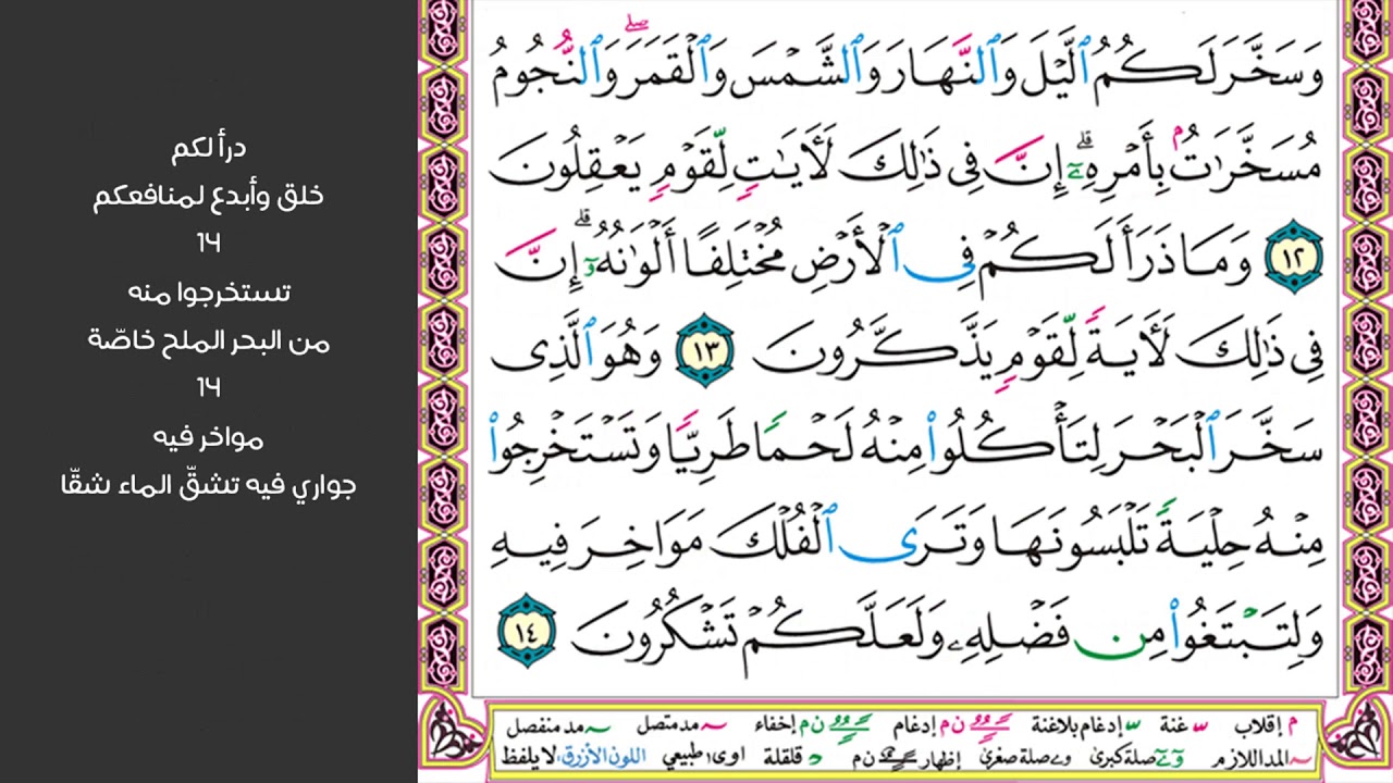 2#. الصفحة 268 - وتحمل أثقالكم إلى بلد لم تكونوا بالغيه إلا بشق الأنفس -ماهر المعيقلي- مكررة 10 مرات