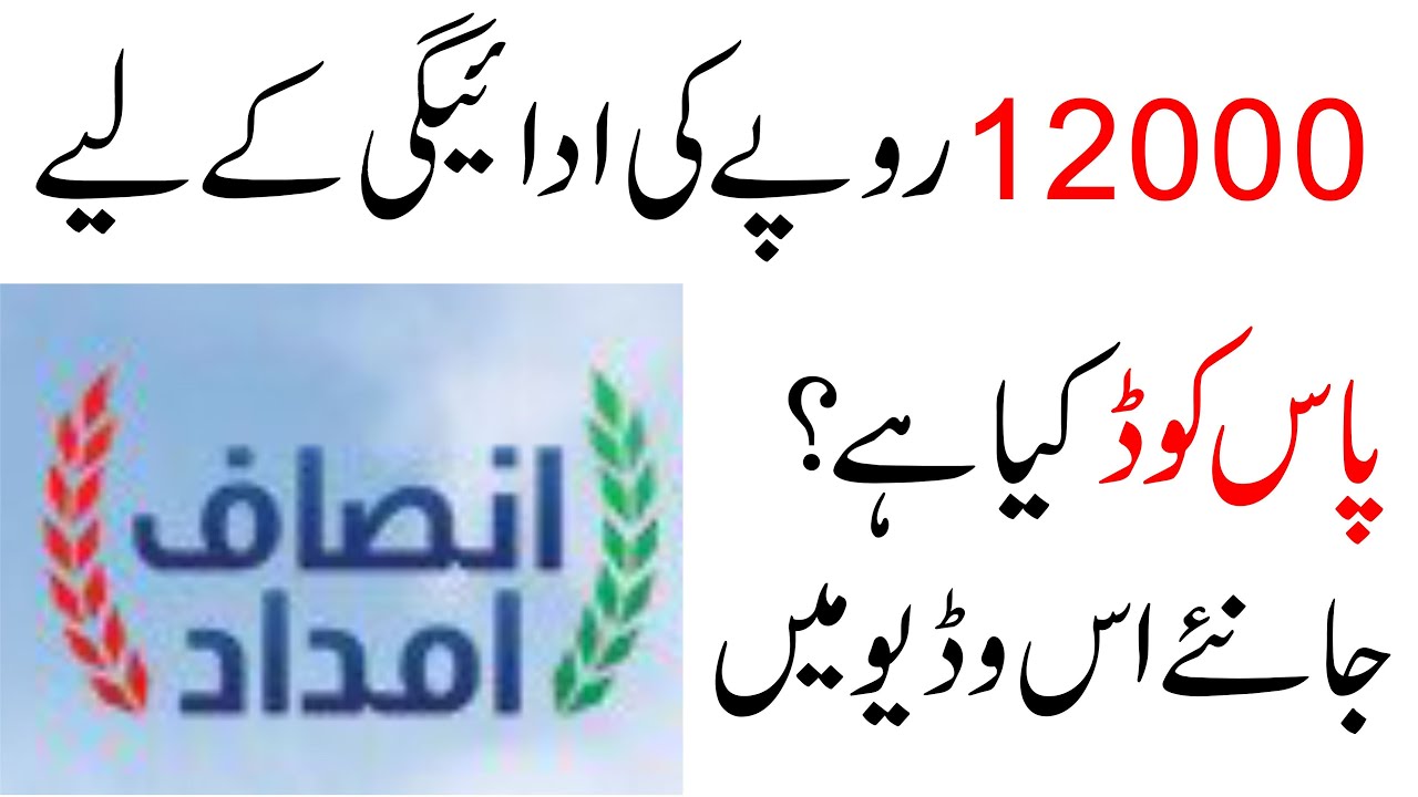 Pass code in Insaaf Imdad Program | پاس کوڈ انصاف امداد پروگرام میں کیا ہے